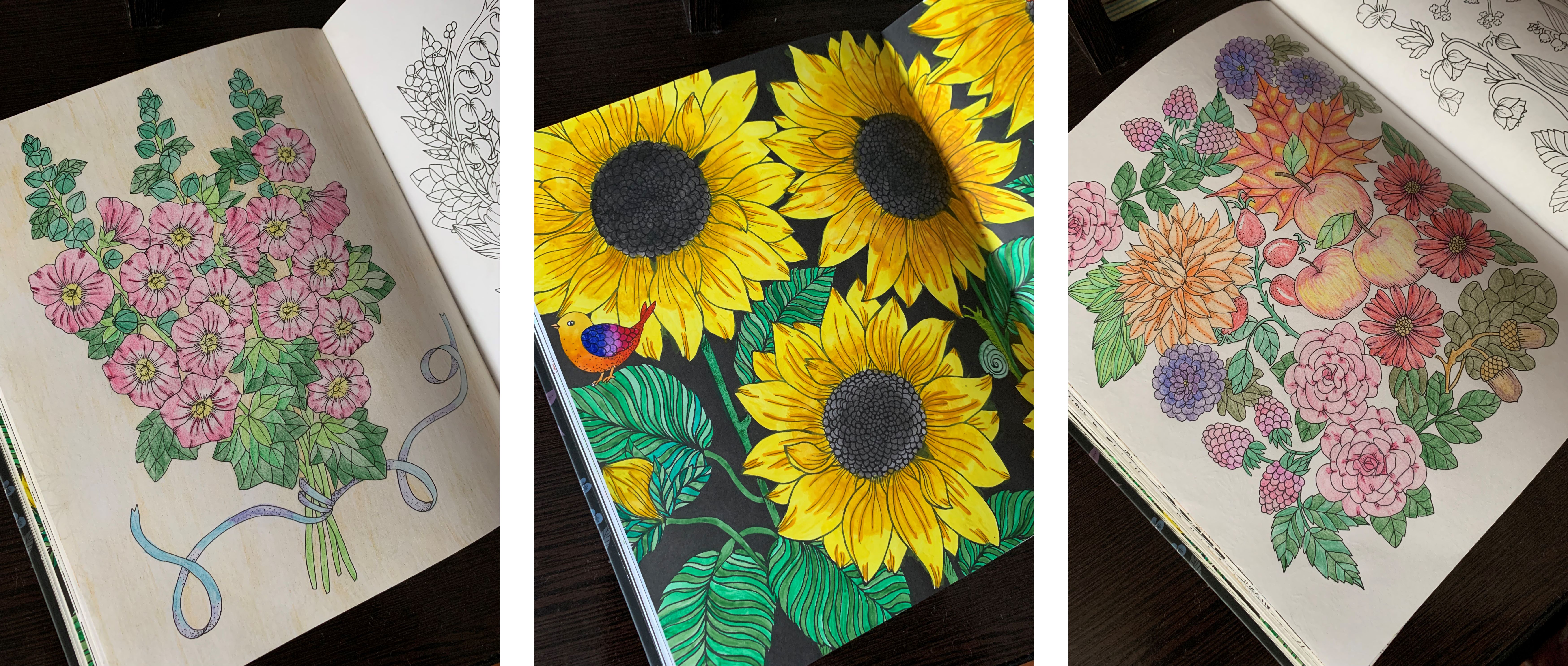 Колыхалина увлечения